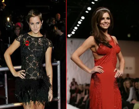 Tiền xu nhà vô địch ảnh 3