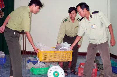 Phú Yên: Bắt vụ vận chuyển trái phép gần 128 kg rắn hổ mang chúa và rắn ráo trên ô tô khách