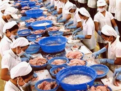 (Photo: tuoitreonline)