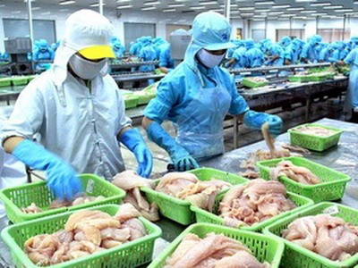 Workers process basa fish for export at the Binh An Seafood Company in Can Tho Province (Photo: VNA)
