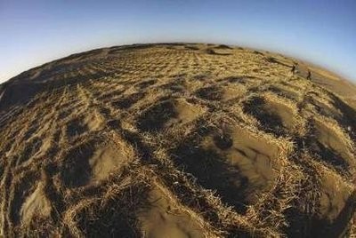 Officials from the local Water Conservancy Bureau walk on the fringe of a desert, which has been planted with grass to prevent desertification, in Minqin County, northwest China's Gansu province December 8, 2010.