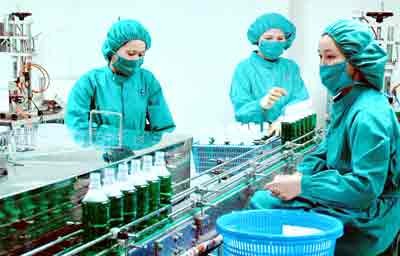 Employees are packaging drugs at the Pharmaceuticals and Medicinal Laboratories (Photo: SGGP)
