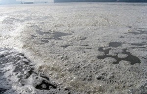 Many factories along the Dong Nai River pour liquid waste into the water, causing heavy pollution to the river
