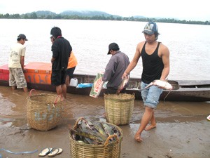 This file photo shows villagers catch fish from the Mekong River in the Siphan Don area, Champassak Province, southern Laos. The Mekong River Basin houses around 60 million people and a majority of the inhabitants are farmers and fishers. (Photo: Tuong Thuy)