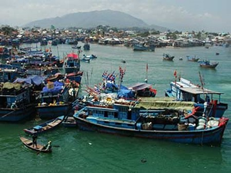 Fishing boats anchoring at a port in southern Ba Ria-Vung Tau Province