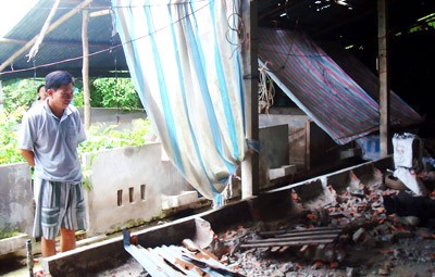 A corner of Hoang Van Hon’s farm that is in liquidation in My Chanh Commune, Chau Thanh District, Tra Vinh Province (Photo: SGGP)