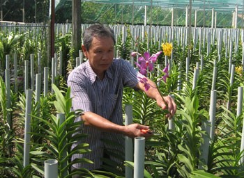 Gardener Nguyen Van Xuan in Tan Thong Hoi Commune, Cu Chi District earns VND14 million a month from orchid farming. (Photo: Sggp)