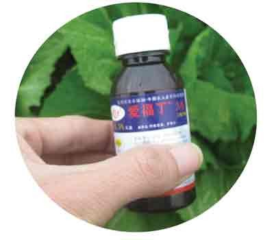 This is the kind of artificial growth stimuli that farmers have used in spraying their vegetable crops (photo: SGGP)