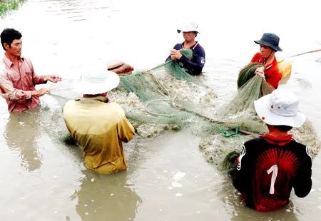 Cà Mau: hoàn thành sớm chỉ tiêu kim ngạch xuất khẩu thủy sản