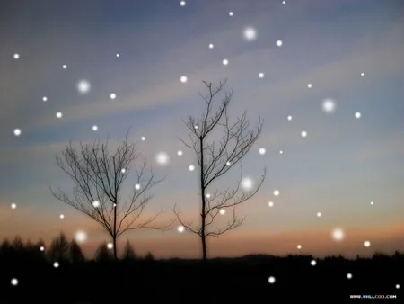 Những mùa đông đã qua