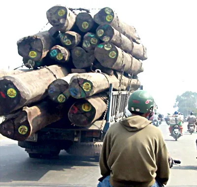 Nguy hiểm rình rập người đi đường