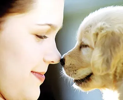 Tin vật nuôi hơn cả người thân!