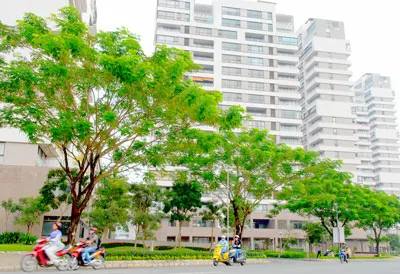 Phát triển kiến trúc xanh tại TPHCM - Nhiều cản ngại