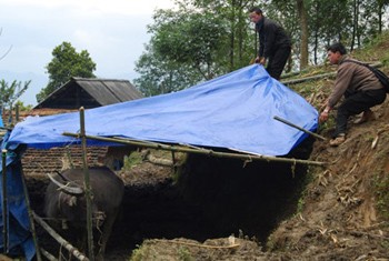 People in the Sa Pa town, Lao Cai Province, erecting fences in order to protect their cattle from the extreme cold weather (Photo: SGGP)