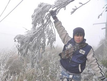 The Mau Son mountaintop is covered with ice and snow on January 7 (Photo: SGGP)
