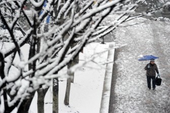 A Chinese woman walks along snow-covered trees during a snowfall in Shanghai on January 20, 2011. AFP