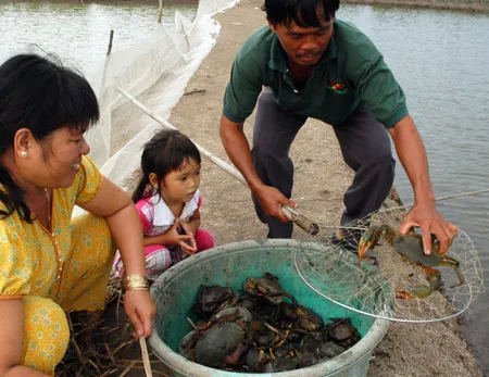 Vedan bồi thường thiệt hại - 3 điều băn khoăn