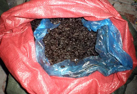 Nho được chứa trong bao tải.