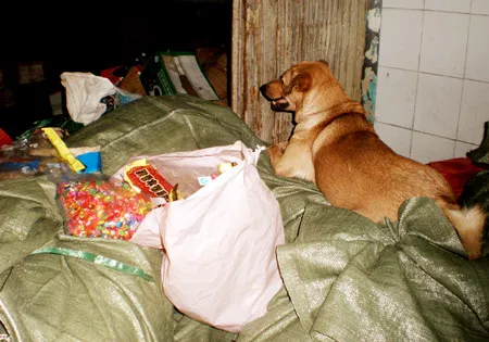 Kẹo hết hạn sử dụng từ năm 2010.