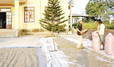 Đổi đời ở xã nghèo