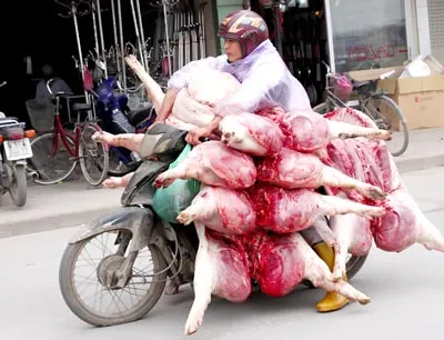 Ngộ độc thực phẩm: Tết đến lại lo