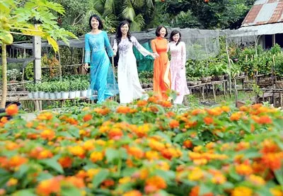 Sắc xuân về trên làng hoa Đồng Tháp.