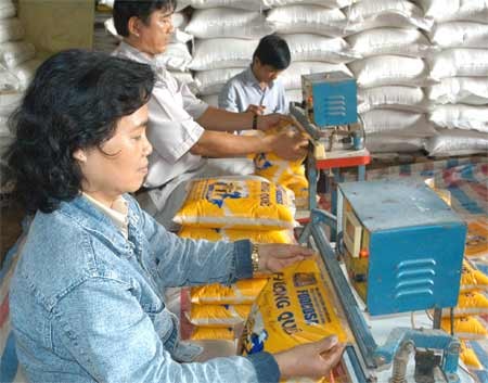 Workers package rice for export at Foocosa Company (Photo: SGGP)