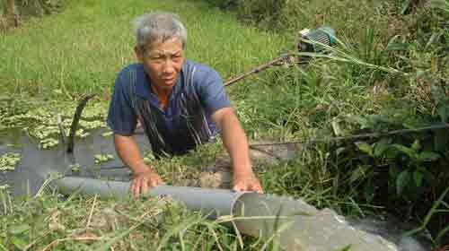 Farmer Nguyen Van Ut in Go Cong Town, Tien Giang Province, Mekong Delta pumps fresh water into his paddy field to save it from salinity (Photo: Tuoitre)