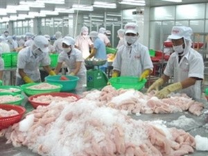 Vietnam News Agency file photo shows a catfish processing factory in Vietnam