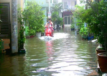 High tide floods several areas of Binh Thanh District, HCMC on February 21 (Photo: SGGP)