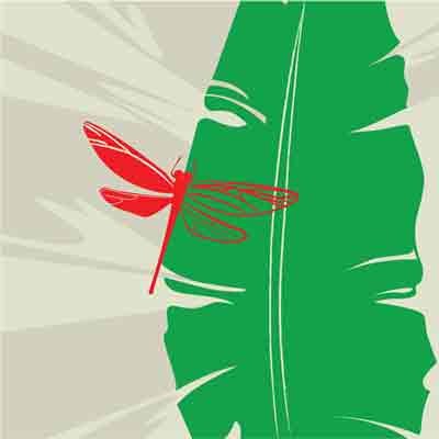 The design work of Phan Khanh Trang who wins the Grand Prize at the 2nd International Furoshiki Design Contest for Students held in Japan on September 2010