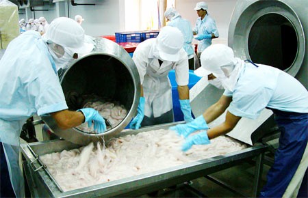Processing tra catfish for export at a factory in Vietnam (Photo:SGGP)
