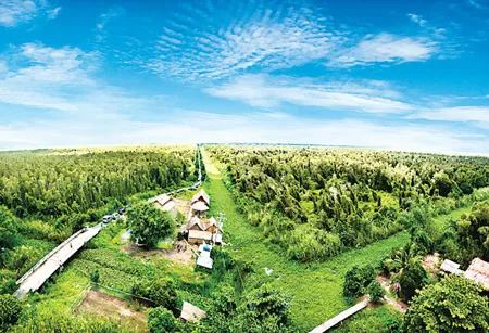 Cận cảnh khu dự trữ sinh quyển Mũi Cà Mau