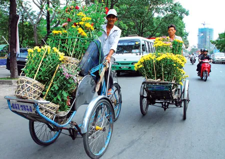 Hoa tết. Ảnh: VIỆT DŨNG