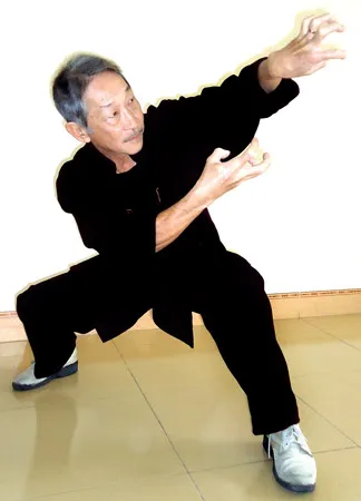 Chú mèo trong võ thuật: Miêu tẩy diện