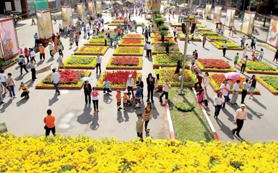 Một góc đường hoa Nguyễn Huệ. Ảnh: CAO THĂNG