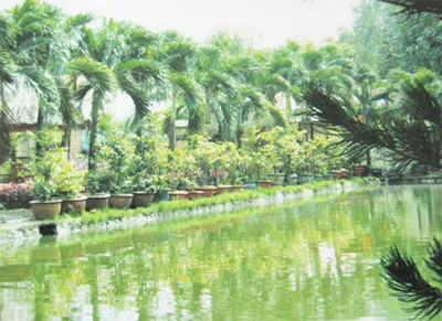 Thêm nét đẹp cho TPHCM