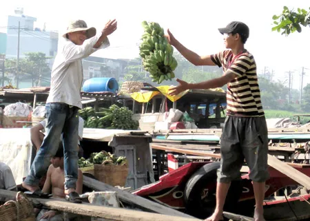 ĐBSCL: Hướng tới nông sản chất lượng cao