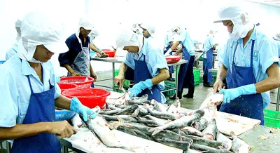 Thay đổi tỷ giá USD - Biện pháp cấp bách nhưng cần đồng bộ