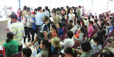 Đua nhau sinh con tuổi mèo