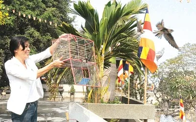 Người dân đi lễ chùa đầu năm và phóng sinh chim ở chùa Vĩnh Nghiêm. Ảnh: An Dung