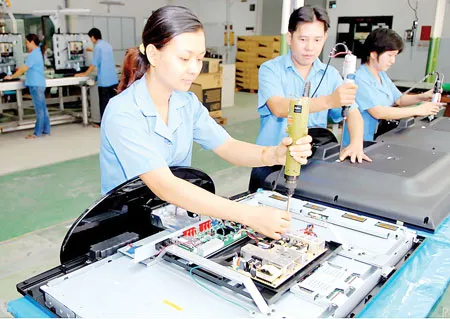 1.000 cán bộ chủ chốt TPHCM nghe báo cáo về Đại hội XI của Đảng