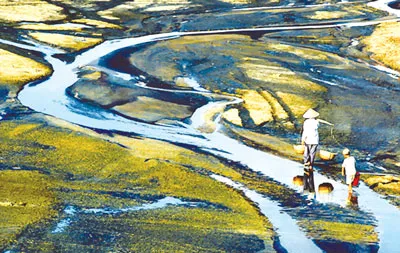 Tác phẩm “Phương Cựu (Nha Trang) chiều về”.