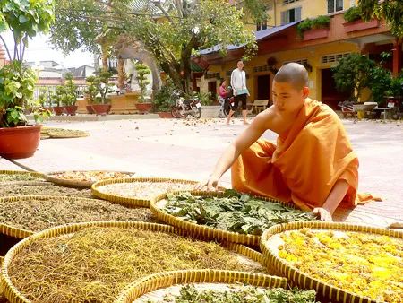 Đầu năm gieo phước ảnh 3