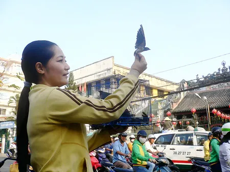 Đầu năm gieo phước ảnh 5