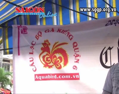 Ra mắt câu lạc bộ gà kiểng quận 6 ảnh 2