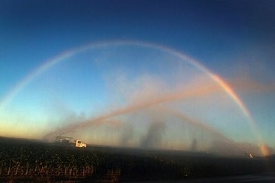 AFP file - A rainbow is formed as irrigation trucks spray water over plants in an effort to keep them from freezing in Homestead, Florida, in 2010.