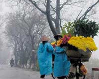 Cold spell covers Hanoi with thick fog