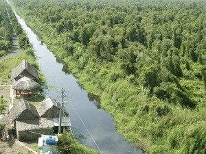 Ca Mau world biosphere reserve (Source: VNA)