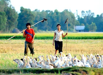 A still in the film Canh Dong Bat Tan (Floating Lives).